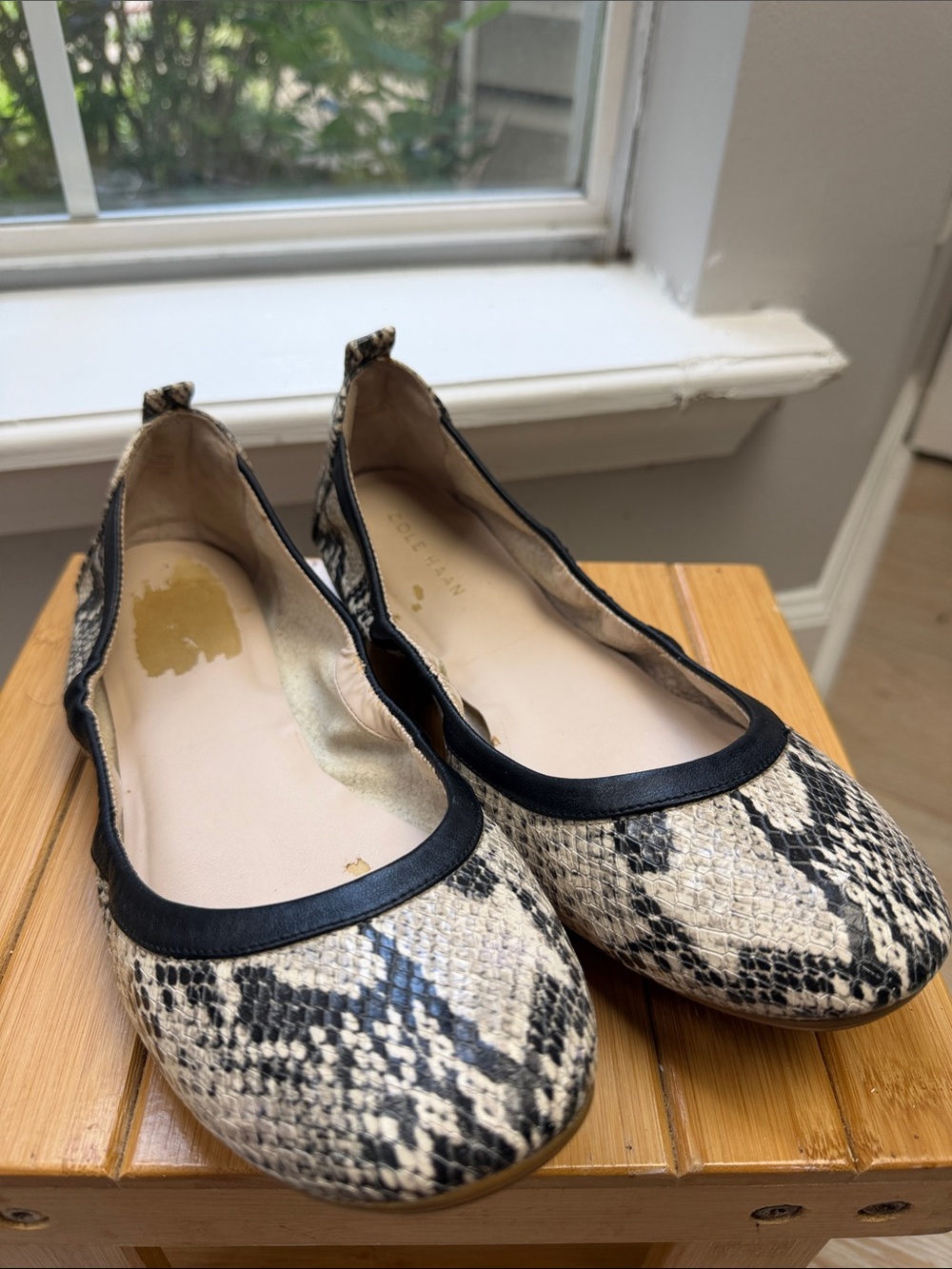 Cole Haan Snake Print Ballet Flats with Black Trim